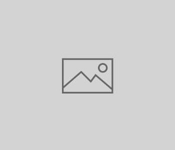 Accessibility Statement for this website